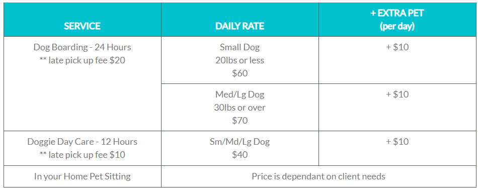 DOG BOARDING - Out N About Pet Care