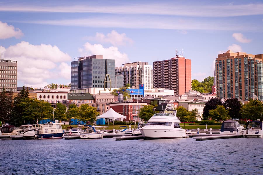 Dog Friendly Places to Visit in Barrie Ontario Out N About Pet Care Barrie, ON