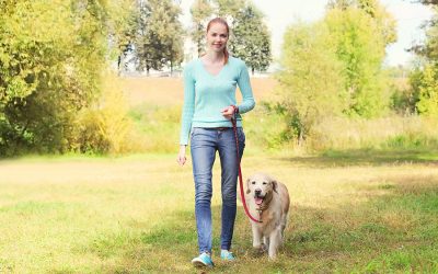 Five Dog Walking Tips that are Essential