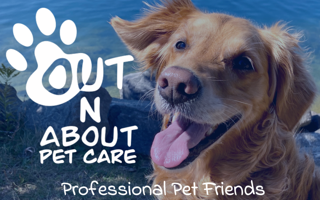 Out N About Pet Care Barrie – Premium Service, Easy Booking, and Care You Can Count On