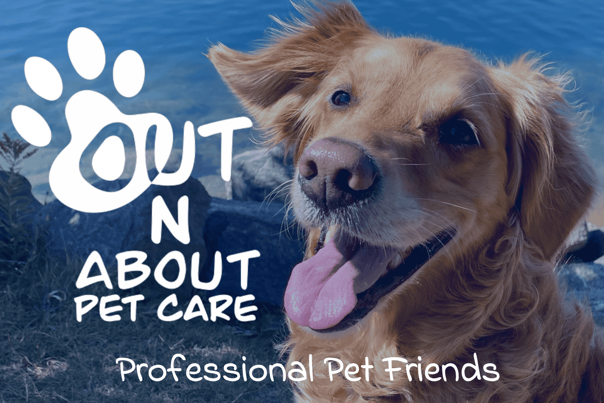 Out N About Pet Care