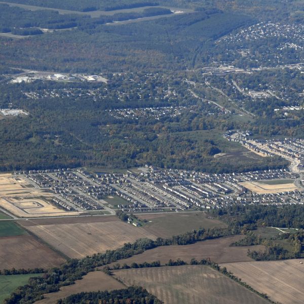 Professional Dog Walking, Cat Sitting & Pet Care in Essa Township, Ontario