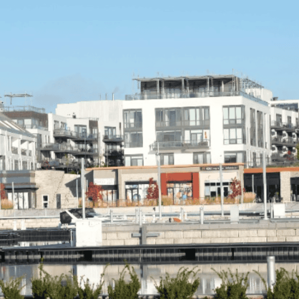 Professional Dog Walking, Cat Sitting & Pet Care in Innisfil Township, Ontario 